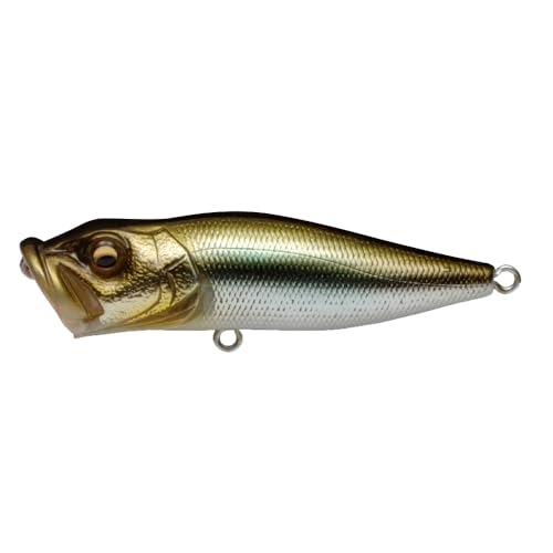 Amazon.co.jp: Megabass(メガバス): ポッパー